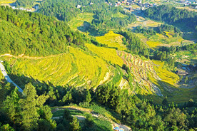 新化紫鹊界梯田