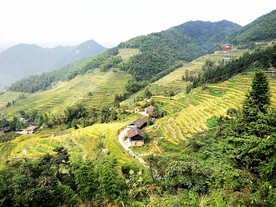 新化紫鹊界梯田