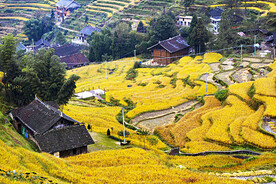 新化紫鹊界梯田