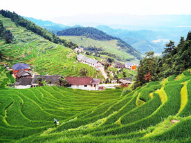新化紫鹊界梯田