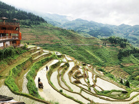 新化紫鹊界梯田