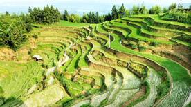 新化紫鹊界梯田