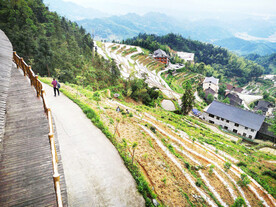 新化紫鹊界梯田