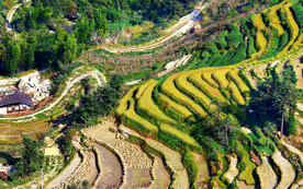 新化紫鹊界梯田