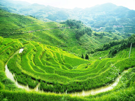 新化紫鹊界梯田