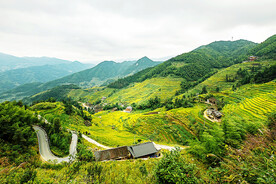 新化紫鹊界梯田