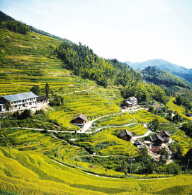新化紫鹊界梯田