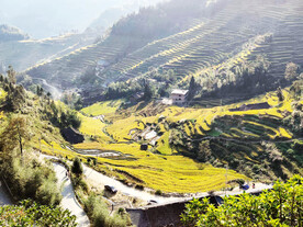 新化紫鹊界梯田