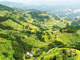 新化紫鹊界梯田