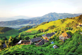 新化紫鹊界梯田