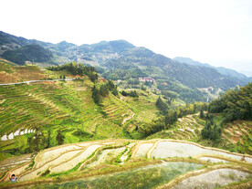 新化紫鹊界梯田