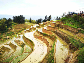 新化紫鹊界梯田056