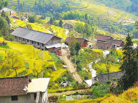 新化紫鹊界梯田