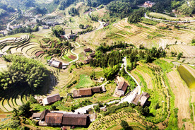 新化紫鹊界梯田