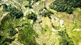 新化紫鹊界梯田