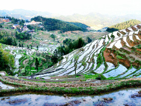 新化紫鹊界梯田