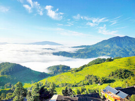 新化紫鹊界梯田