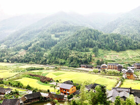 新化紫鹊界梯田