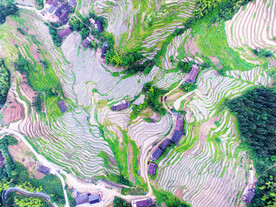 新化紫鹊界梯田