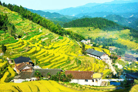 新化紫鹊界梯田