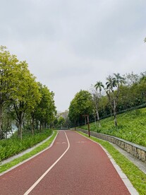 绿茵跑道