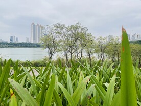 江边风景