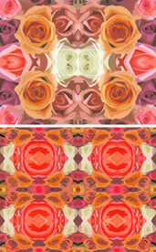 玫瑰花底纹
