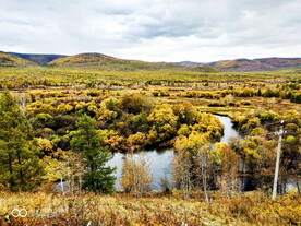 大兴安岭秋色