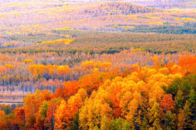 大兴安岭秋色