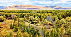 大兴安岭秋色