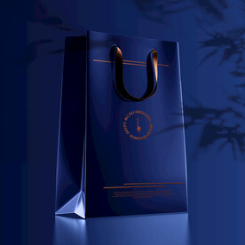 高级包装纸袋样机模板