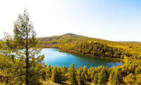 大兴安岭秋色