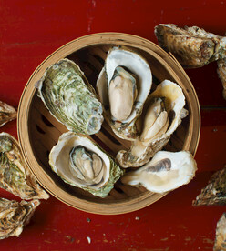 生蚝