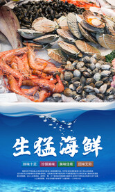 海鲜海报