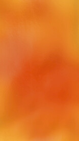 橘黄色秋天背景