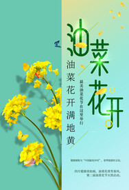 油菜花开海报