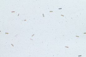 纸质纹理 高清纸纹