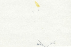 纸质纹理 高清纸纹