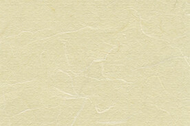 纸质纹理 高清指纹