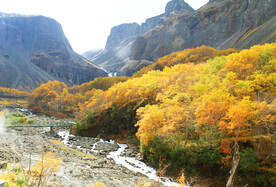 长白山秋色