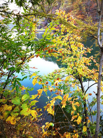 丹东天桥沟秋色