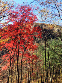 丹东天桥沟秋色