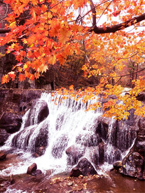 丹东天桥沟秋色