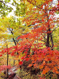 丹东天桥沟秋色