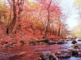 丹东天桥沟秋色