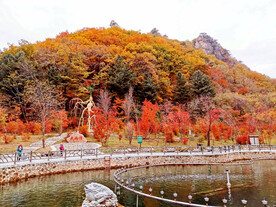 丹东天桥沟秋色