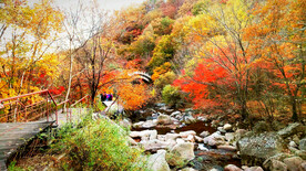 丹东天桥沟秋色