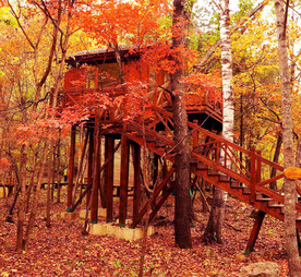 桓仁枫林谷秋色