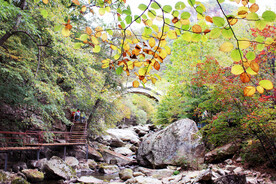 丹东天桥沟秋色