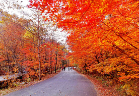 丹东天桥沟秋色